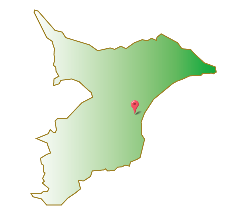 千葉県大網白里市地図