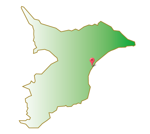 千葉県山武郡九十九里町地図