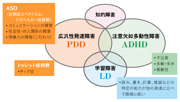 広汎性発達障害相関図